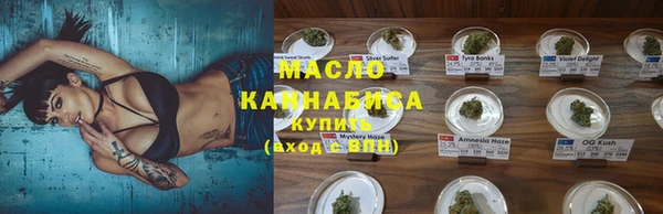 молекула духа Касимов