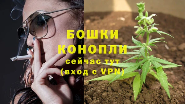 молекула духа Касимов