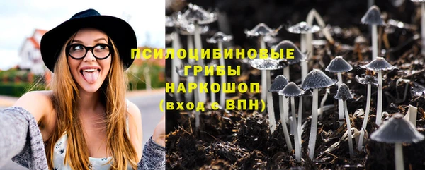 молекула духа Касимов